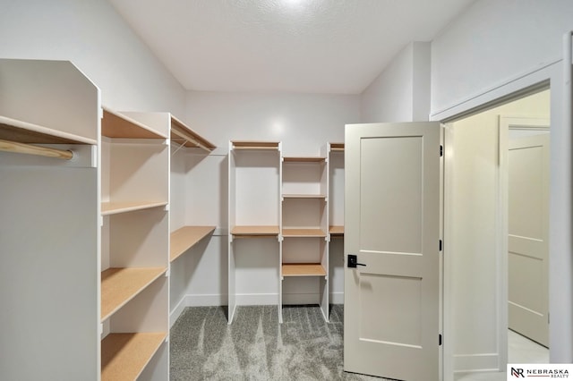612 N 107th St, Lincoln, NE 68527 - walk in closet featuring carpet floors