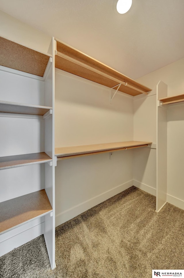 612 N 107th St, Lincoln, NE 68527 - spacious closet with carpet