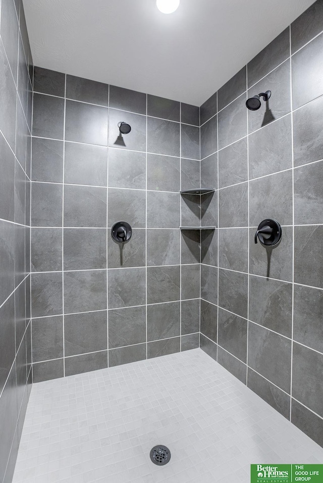 21108 Arlington St, Elkhorn, NE 68022 - full bath featuring a tile shower