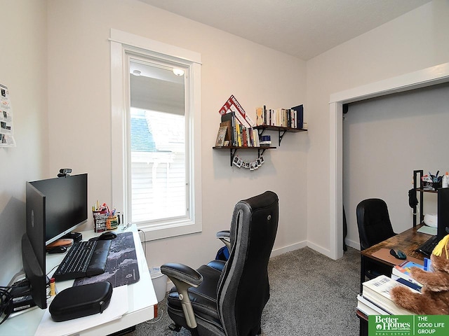 4210 S 21st St, Omaha, NE 68107 - office area featuring carpet floors
