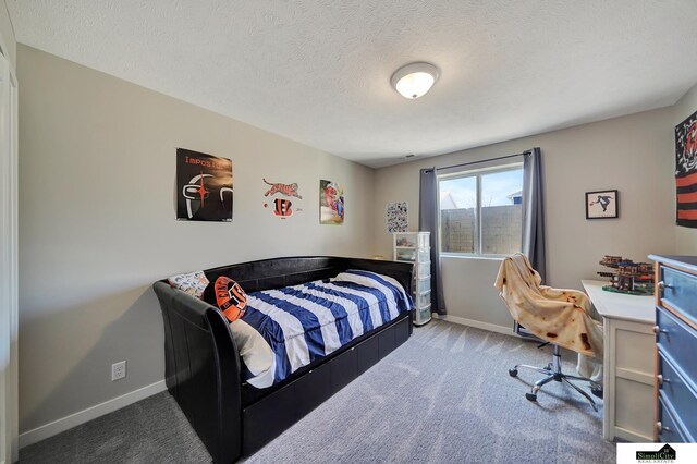 9551 N 144th St, Waverly, NE 68462 - bedroom featuring carpet, baseboards, and a textured ceiling
