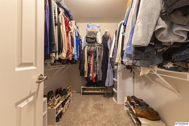 walk in closet with carpet floors