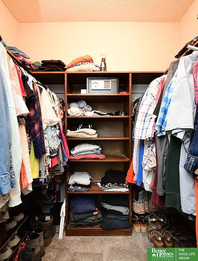 14824 Charles Plz, Omaha, NE 68154 - walk in closet with carpet flooring
