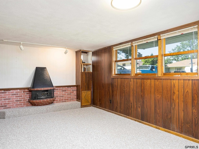 below grade area with carpet floors, wooden walls, and track lighting