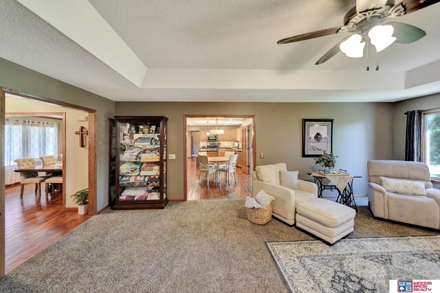 1714 S 14th Circle Dr, Beatrice, NE 68310 - living room featuring a raised ceiling, ceiling fan, carpet flooring, and baseboards