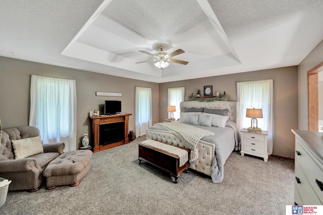 1714 S 14th Circle Dr, Beatrice, NE 68310 - bedroom featuring a raised ceiling, light colored carpet, a ceiling fan, and a fireplace