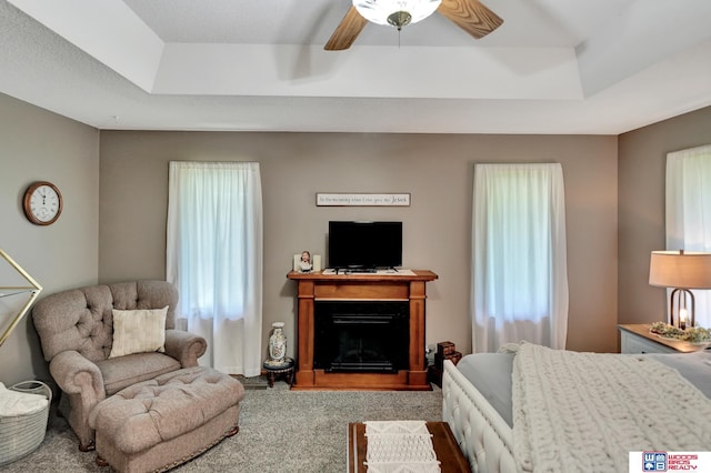 1714 S 14th Circle Dr, Beatrice, NE 68310 - bedroom with carpet floors, a raised ceiling, ceiling fan, and a fireplace