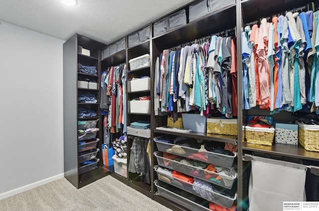 spacious closet with carpet