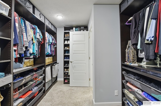 walk in closet with carpet flooring