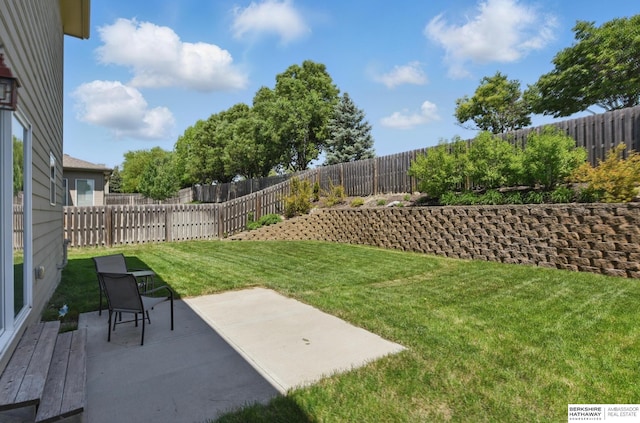 view of yard featuring a patio