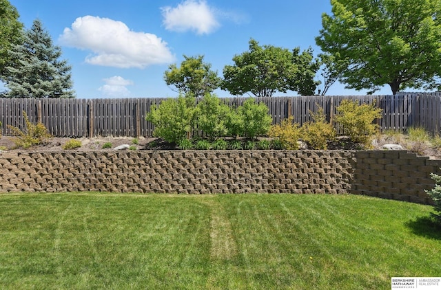 view of yard