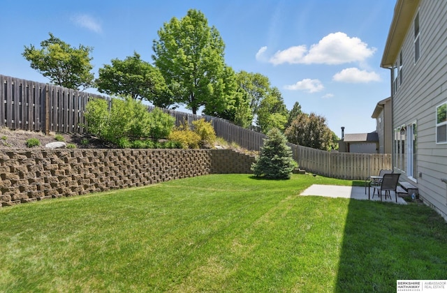 view of yard with a patio area
