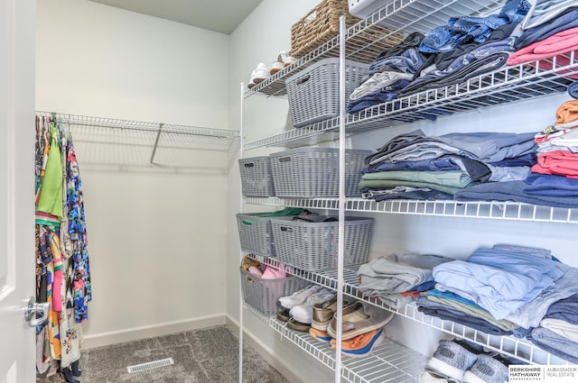 7309 S 196th Cir, Gretna, NE 68028 - walk in closet with carpet floors