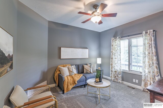 7309 S 196th Cir, Gretna, NE 68028 - carpeted living room with ceiling fan, baseboards, and healthy amount of natural light