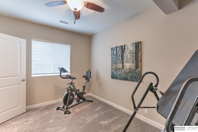7309 S 196th Cir, Gretna, NE 68028 - exercise room with a ceiling fan, baseboards, and carpet