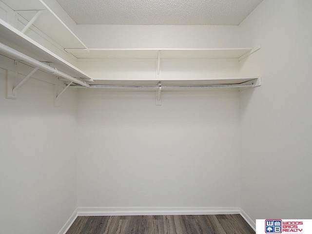 walk in closet featuring dark wood-style floors