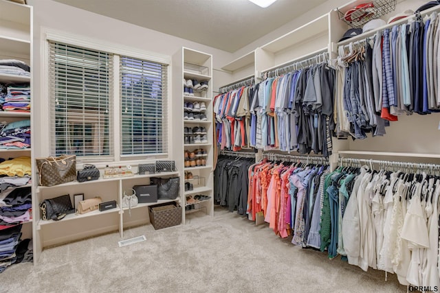 3835 S 179th Ter, Omaha, NE 68130 - spacious closet with carpet flooring