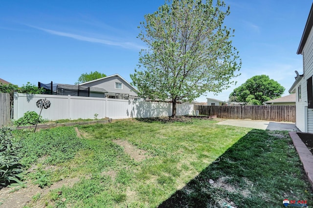 view of yard with a patio area