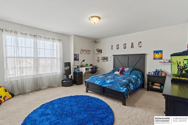 9002 N 156th Ave, Bennington, NE 68007 - view of carpeted bedroom