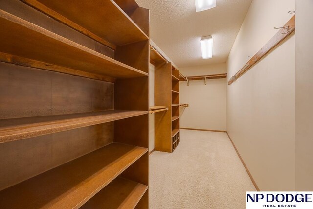 6630 Flint Ridge Rd, Lincoln, NE 68506 - walk in closet featuring carpet floors