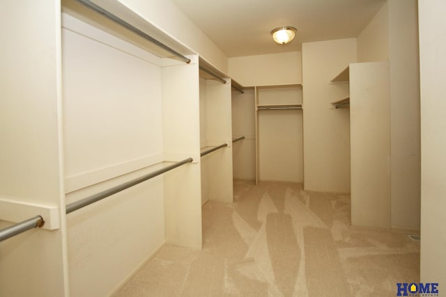 6427 Lone Tree Dr, Lincoln, NE 68512 - walk in closet featuring light carpet