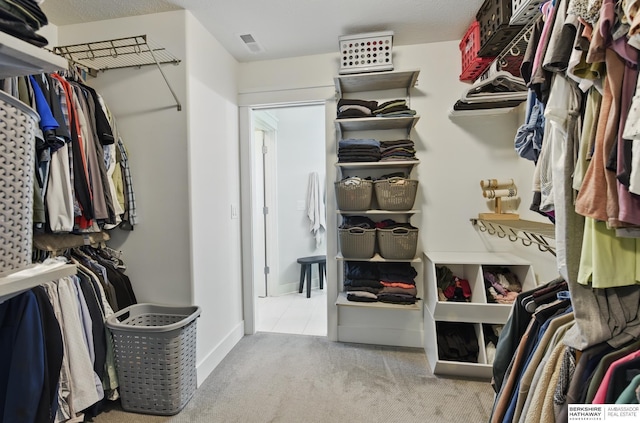 spacious closet with carpet