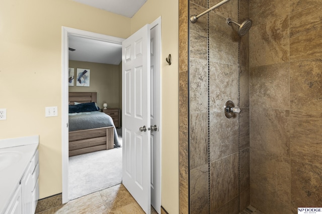 18667 R St, Omaha, NE 68135 - ensuite bathroom with a tile shower and vanity
