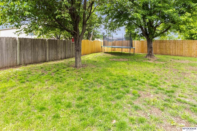18667 R St, Omaha, NE 68135 - view of yard featuring a trampoline