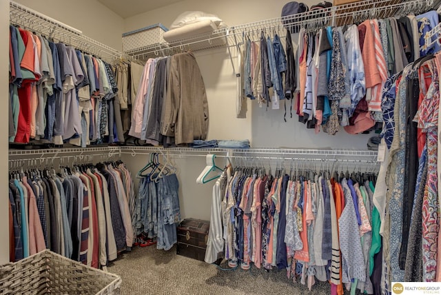 12618 Glenn St, Omaha, NE 68138 - walk in closet with carpet floors