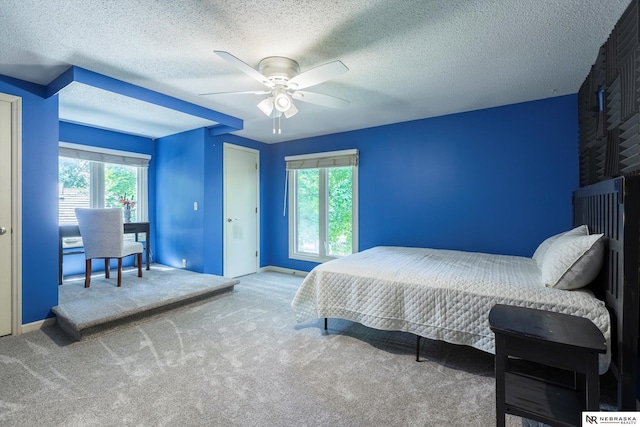 9723 Fieldcrest Dr, Omaha, NE 68114 - bedroom featuring multiple windows, carpet, a textured ceiling, baseboards, and ceiling fan
