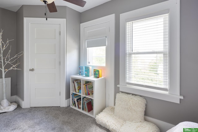 319 N 37th St, Omaha, NE 68131 - sitting room with ceiling fan and carpet floors