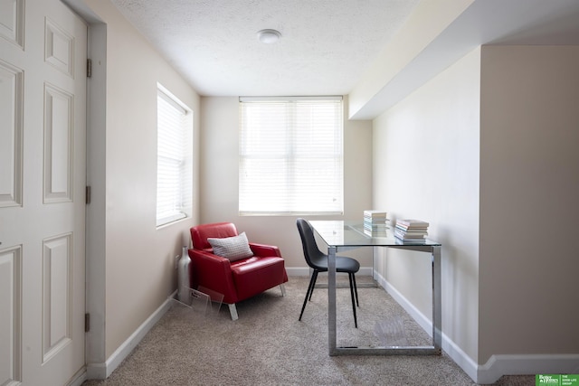 319 N 37th St, Omaha, NE 68131 - office featuring a textured ceiling, carpet flooring, and baseboards
