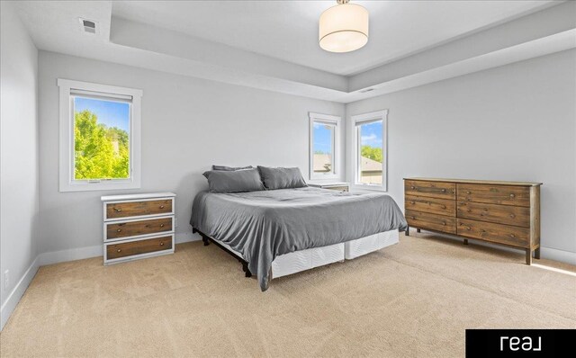 18880 Patrick Cir, Elkhorn, NE 68022 - bedroom with multiple windows, carpet floors, a tray ceiling, and baseboards