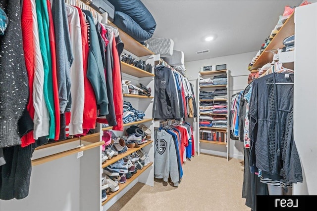 18880 Patrick Cir, Elkhorn, NE 68022 - spacious closet featuring carpet floors