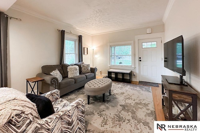 living area with wood finished floors, ornamental molding, and a textured ceiling