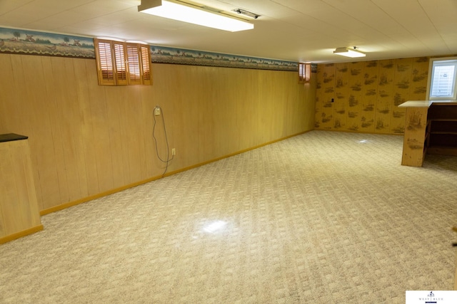5 Fairview Dr, York, NE 68467 - below grade area with carpet and wooden walls