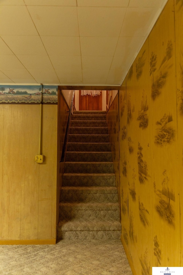 5 Fairview Dr, York, NE 68467 - stairs featuring carpet flooring and wood walls