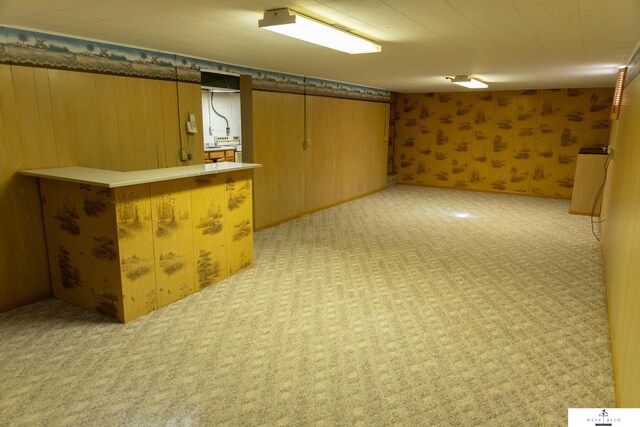 5 Fairview Dr, York, NE 68467 - finished below grade area with light colored carpet, wood walls, and wallpapered walls