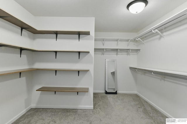 walk in closet featuring carpet flooring