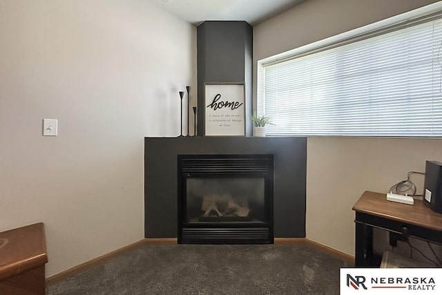 detailed view of a glass covered fireplace, carpet, and baseboards