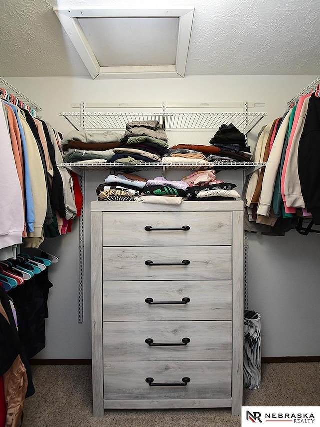 walk in closet featuring carpet