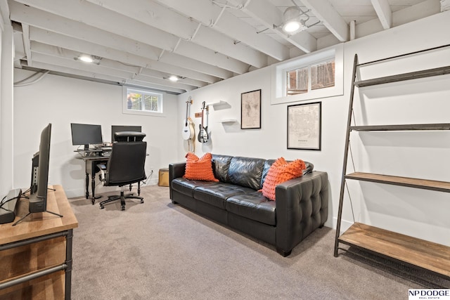 office space with carpet floors