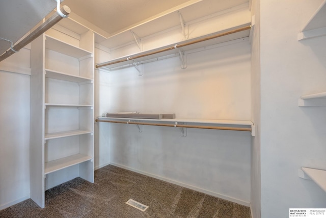 spacious closet featuring carpet flooring