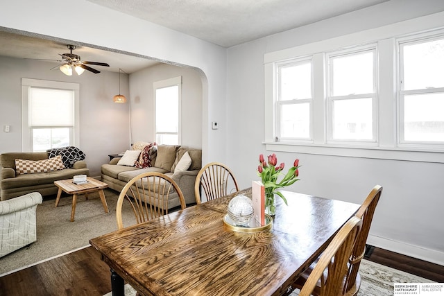 dining area featuring dark wood-style flooring, healthy amount of natural light, and arched walkways