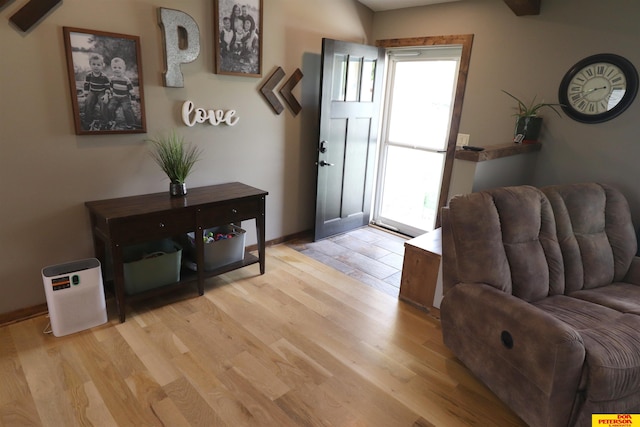 2804 Hogan Ln, Fremont, NE 68025 - foyer entrance featuring plenty of natural light, light wood-style floors, and baseboards