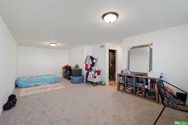 playroom with carpet