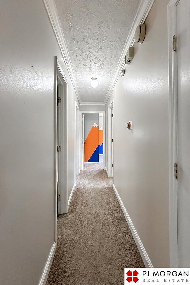 2307 N 142nd St, Omaha, NE 68164 - corridor featuring carpet flooring, ornamental molding, a textured ceiling, and baseboards