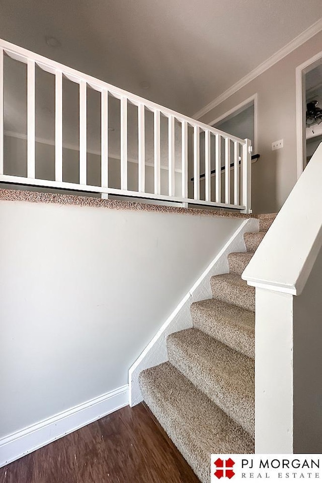 2307 N 142nd St, Omaha, NE 68164 - staircase with crown molding and wood finished floors
