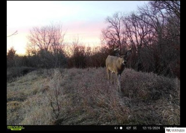 1450 N 4th Rd, Eagle, NE 68347