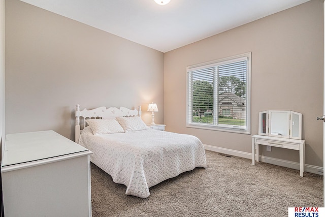 948 S 198th St, Omaha, NE 68022 - bedroom with baseboards and carpet